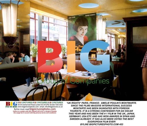 Amelie Poulin's Montmarte Overrun by Tourists