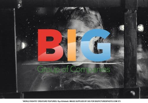 Rya Kihlstedt in Creature Features