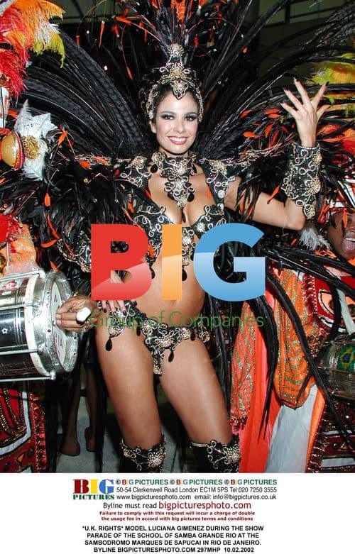 Model Luciana Gimenez at Rio Carnival Parade