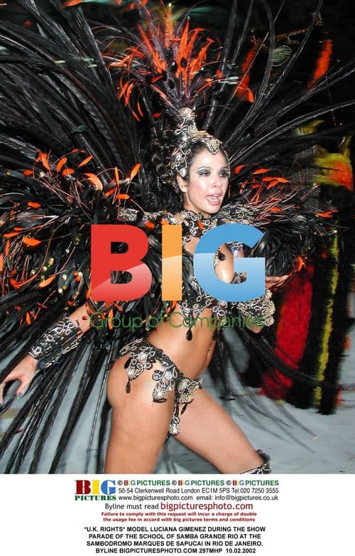 Luciana Gimenez at Rio Carnival Parade