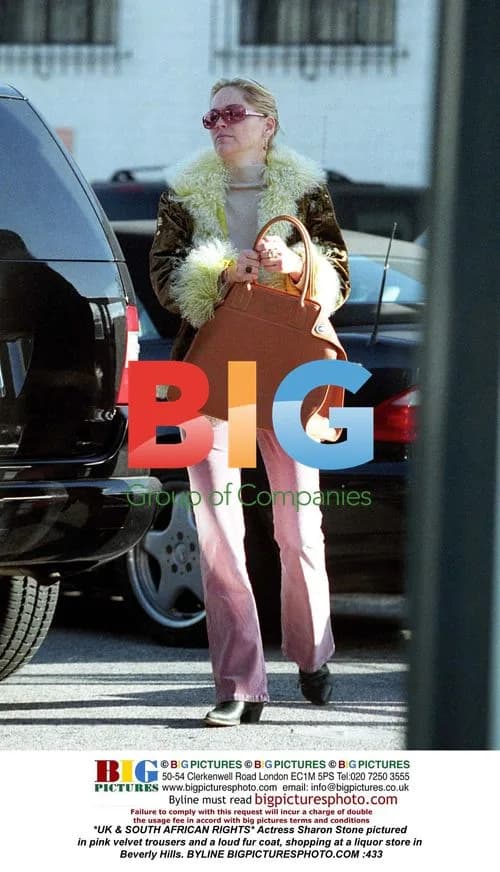 Sharon Stone shopping in Beverly Hills