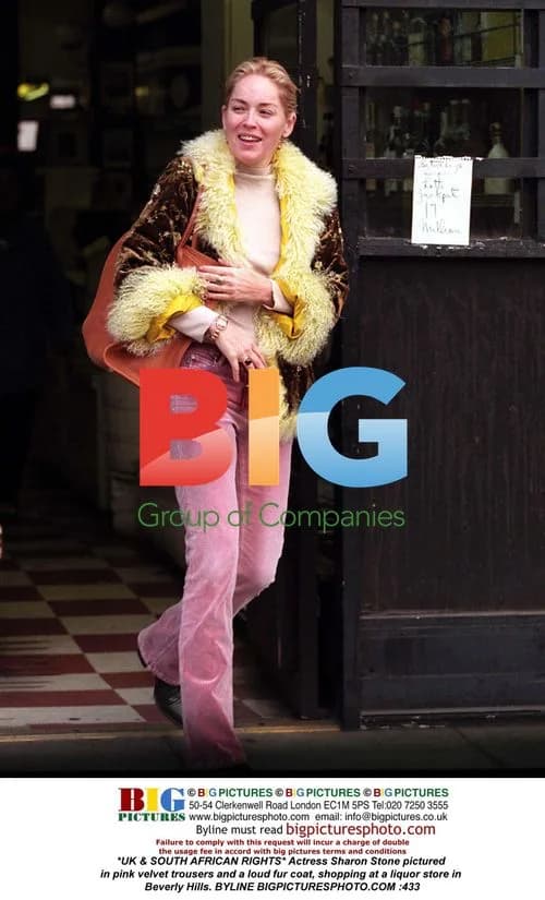 Sharon Stone shopping in Beverly Hills