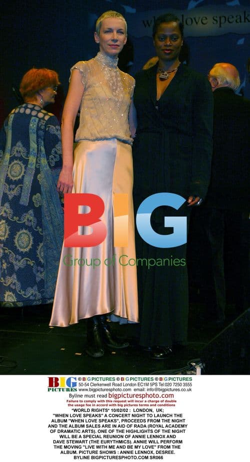 Annie Lennox and Desree at "When Love Speaks" concert