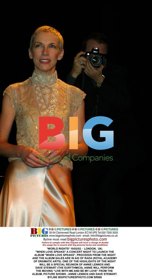 Annie Lennox and Dave Stewart Reunion Photocall