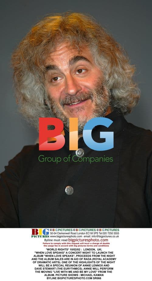 Anni Lennox and Dave Stewart Reunion Concert