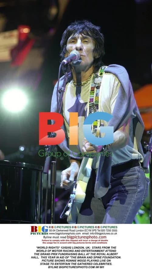 Ronnie Wood Performs at Grand Prix Fundraiser