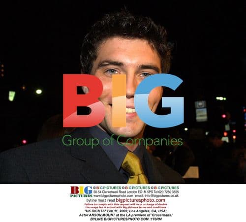 Anson Mount at 'Crossroads' LA Premiere