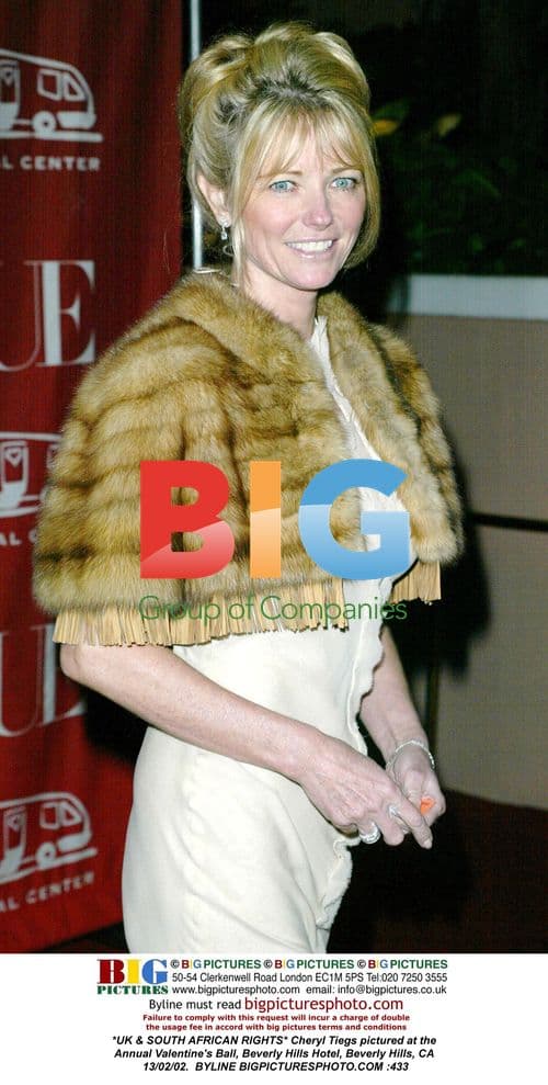 Cheryl Tiegs at Annual Valentine's Ball
