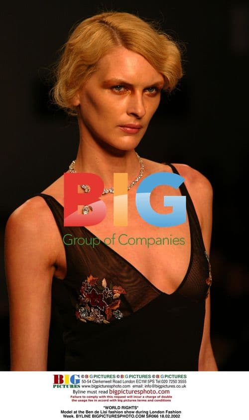 Model at Ben de Lisi fashion show