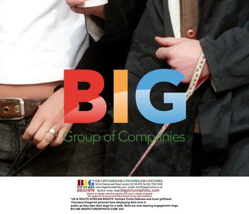 Portia DeRossi and Fancesca Gregorini Engaged