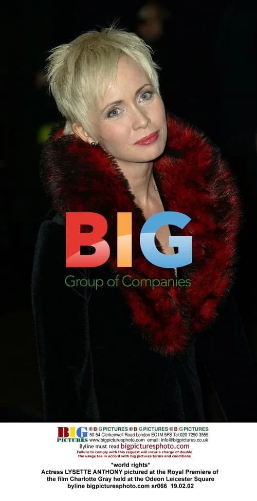 Lysette Anthony at Charlotte Gray Premiere