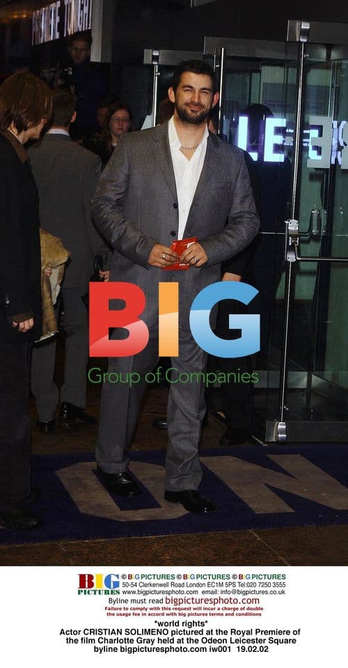 Cristian Solimeno at Charlotte Gray Premiere