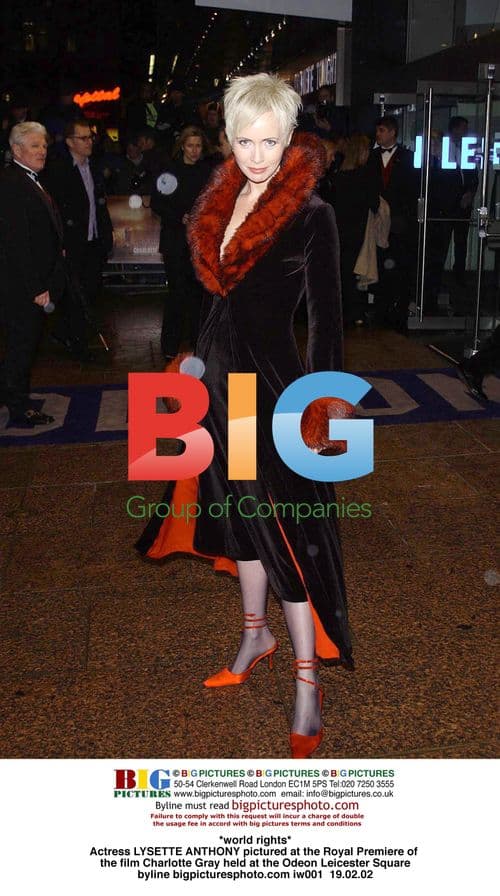 Lysette Anthony at Charlotte Gray Premiere