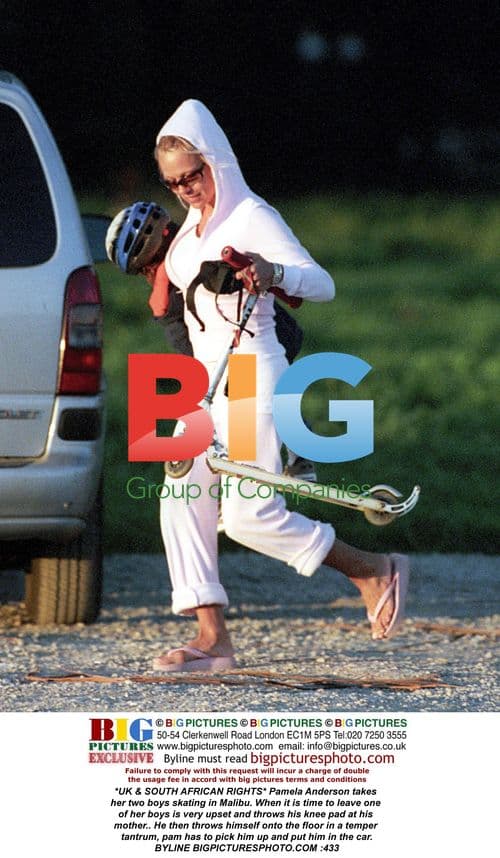 Pamela Anderson's Sons Have Tantrum After Skating