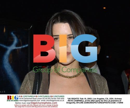Neve Campbell at 'Dragonfly' premiere after-party