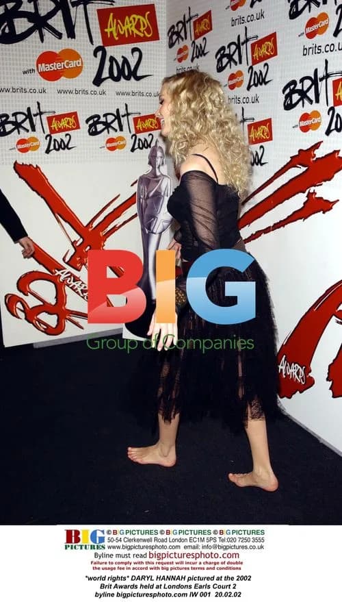 Daryl Hannah at 2002 Brit Awards