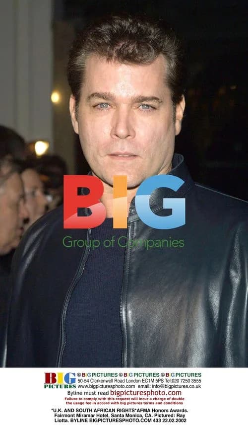 Ray Liotta at AFMA Honors Awards