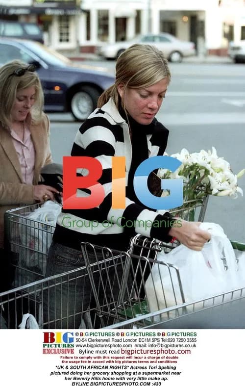 Tori Spelling Grocery Shopping in Beverly Hills