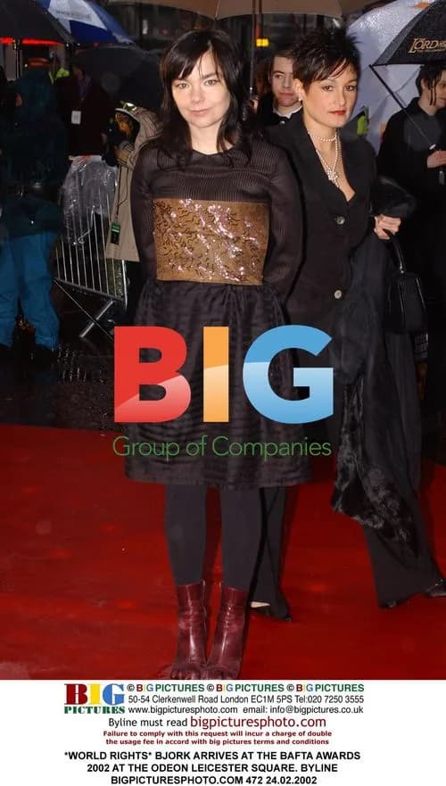 Bjork at 2002 BAFTA Awards