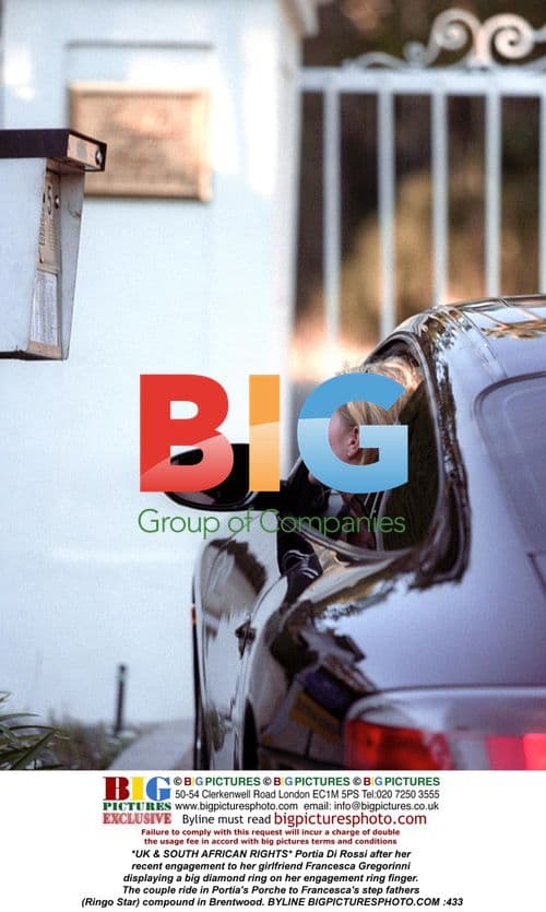 Portia Di Rossi's Engagement to Francesca Gregorinni