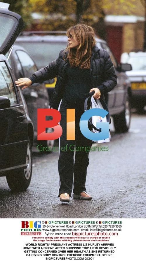Pregnant Liz Hurley Returns Home