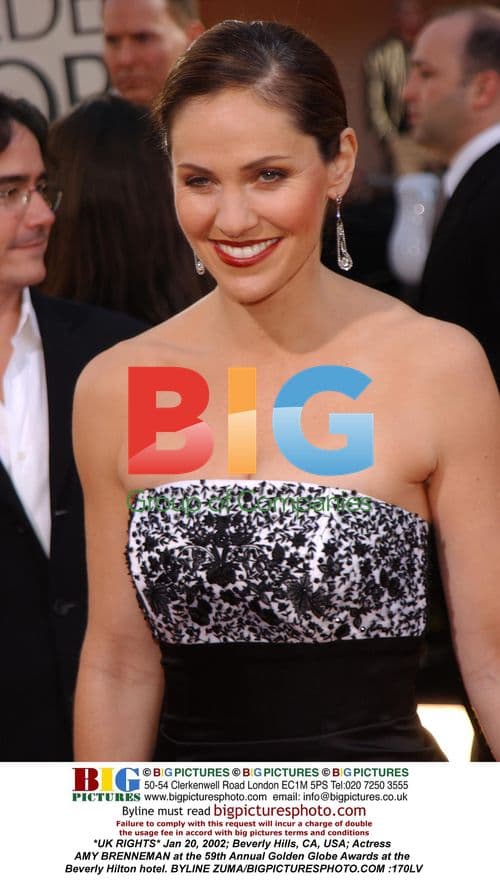 Amy Brenneman at 59th Golden Globe Awards