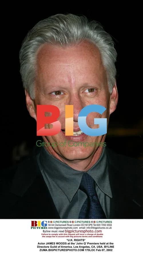 JAMES WOODS at 'John Q' Premiere