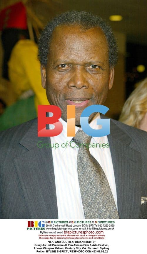 Crazy As Hell Premiere at Pan African Film Festival