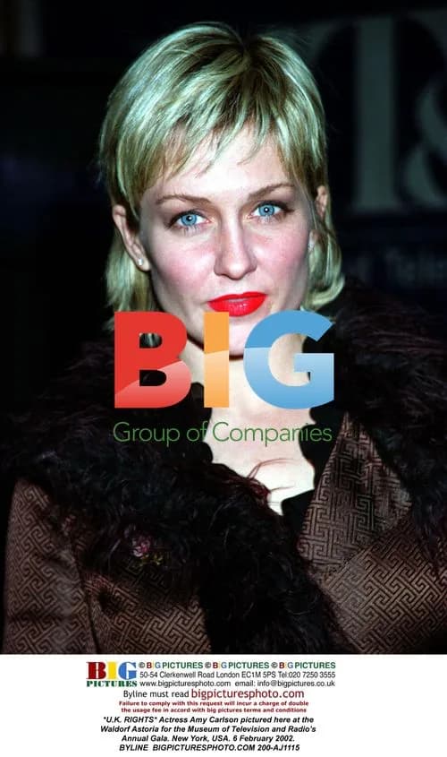 Amy Carlson at Television and Radio Gala