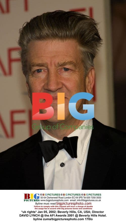 Director David Lynch at AFI Awards 2001