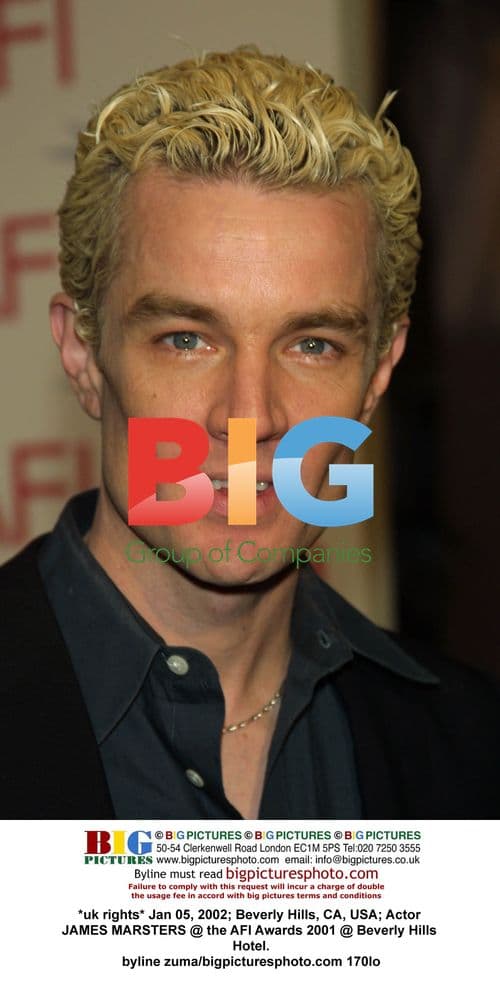 James Marsters at 2001 AFI Awards