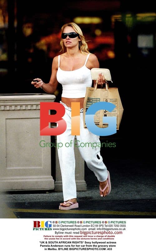 Pamela Anderson runs from store in Malibu