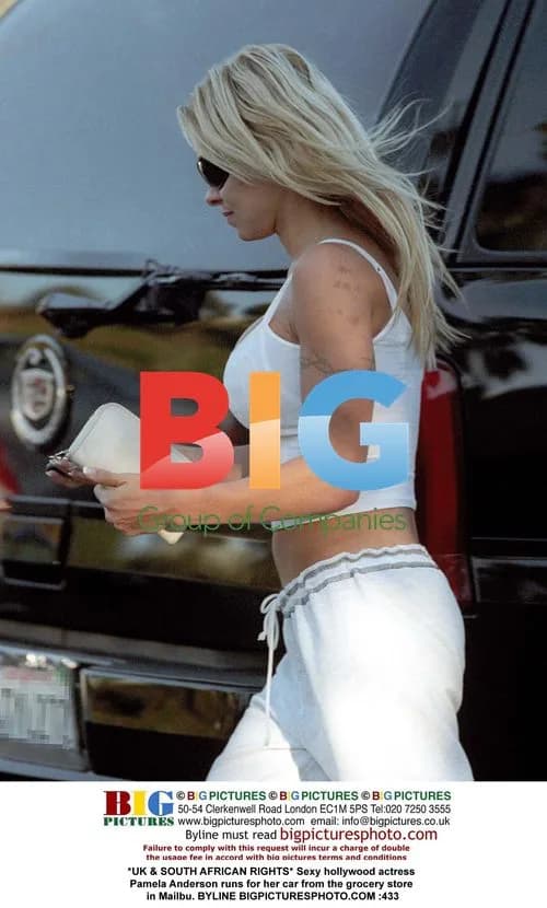 Pamela Anderson runs to car from grocery store