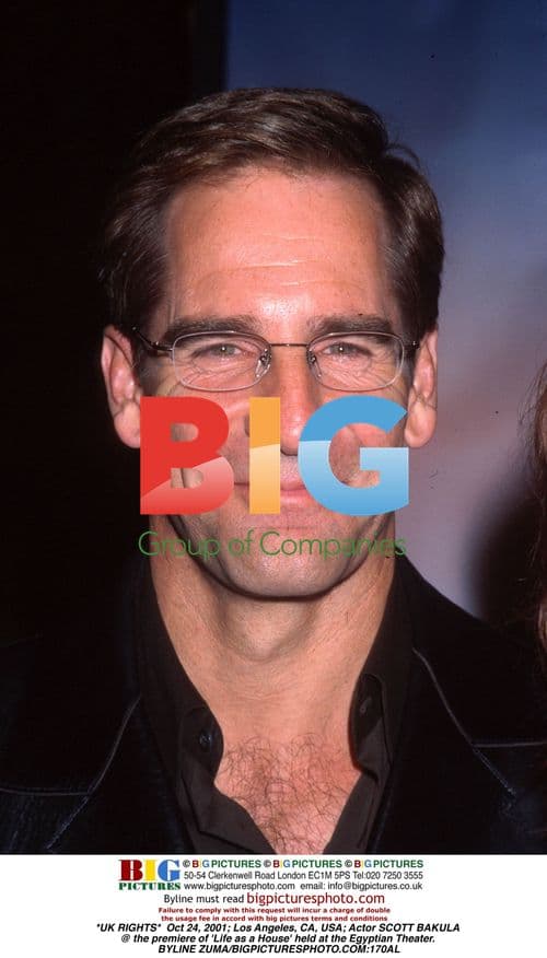 SCOTT BAKULA @ 'Life as a House' premiere
