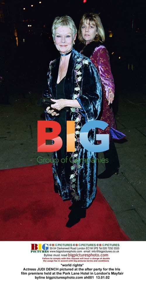 Judi Dench at Iris film premiere party