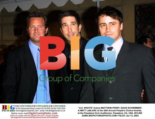 Friends stars at People's Choice Awards