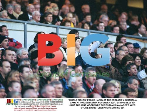 Prince Harry at England vs Australia rugby game