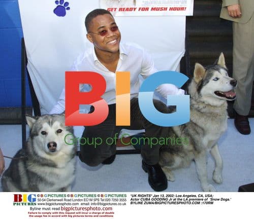 CUBA GOODING Jr at LA premiere of 'Snow Dogs'