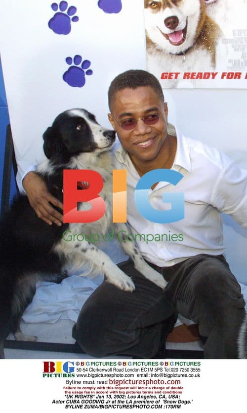 CUBA GOODING Jr at 'Snow Dogs' LA Premiere