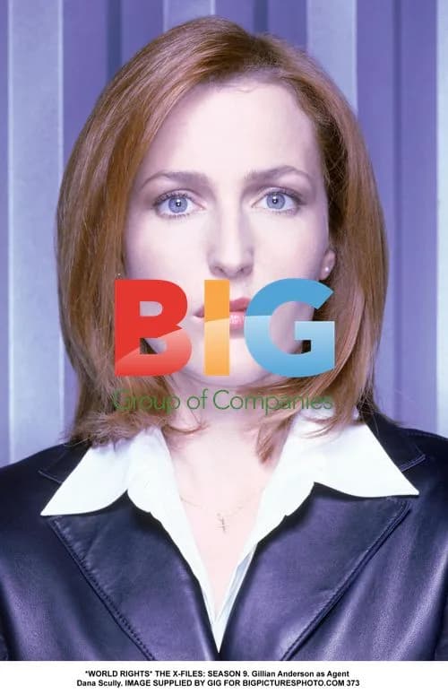 THE X-FILES: SEASON 9 - Gillian Anderson as Agent Dana Scully