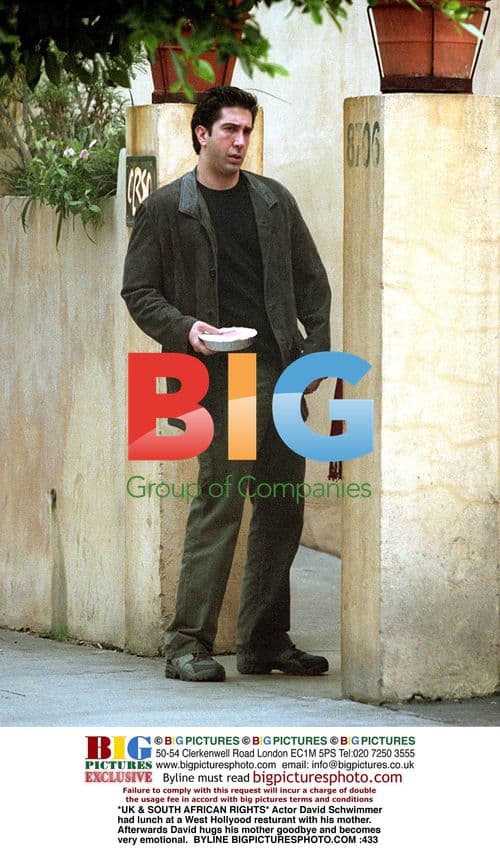 David Schwimmer has emotional goodbye with mother