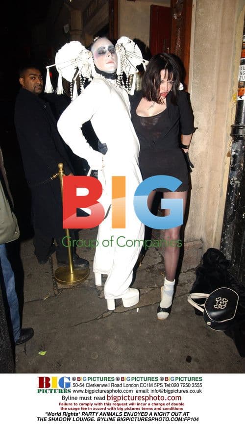 Party Animals at Shadow Lounge