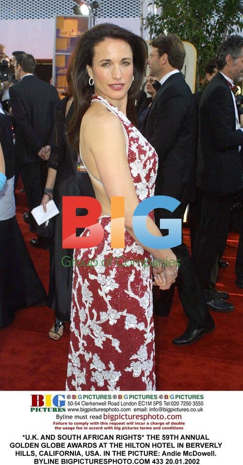 Andie McDowell at Golden Globes