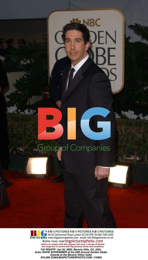 David Schwimmer at 59th Golden Globes