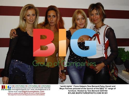 B&Q "it" range launch with celebrities