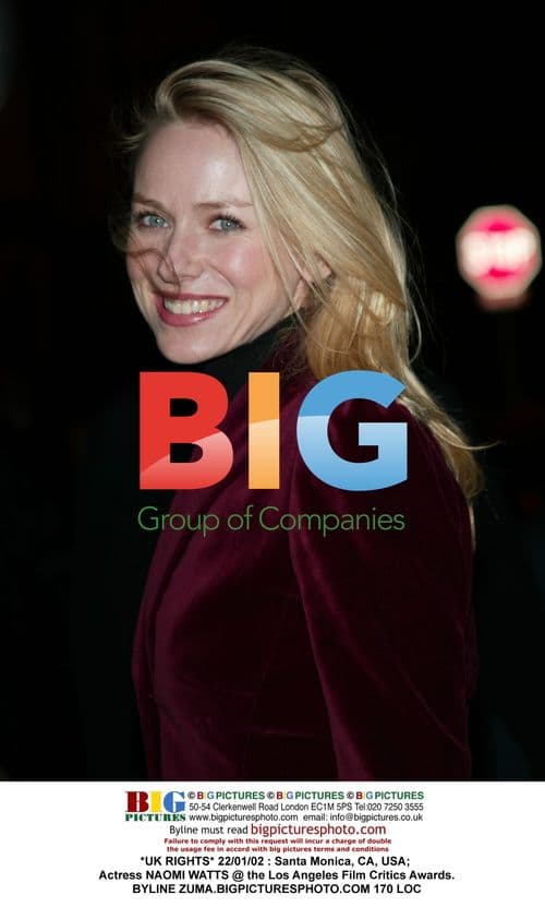 Naomi Watts at Los Angeles Film Critics Awards