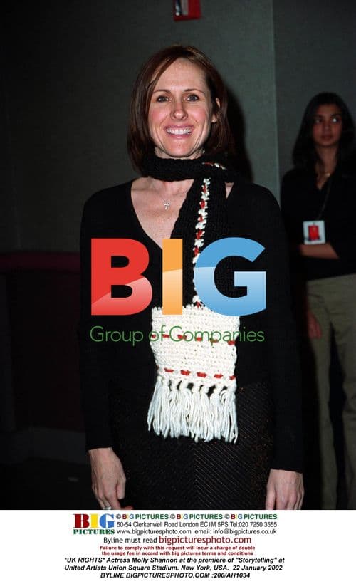 Molly Shannon at 'Storytelling' Premiere