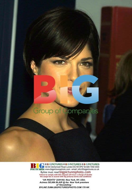 Selma Blair at 'Storytelling' Premiere
