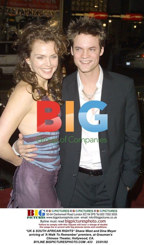 Shane West and Dina Meyer at 'A Walk To Remember' premiere
