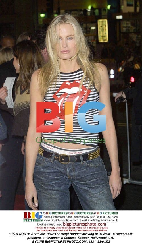 Daryl Hannah at 'A Walk To Remember' Premiere